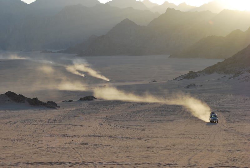 Desert Safari